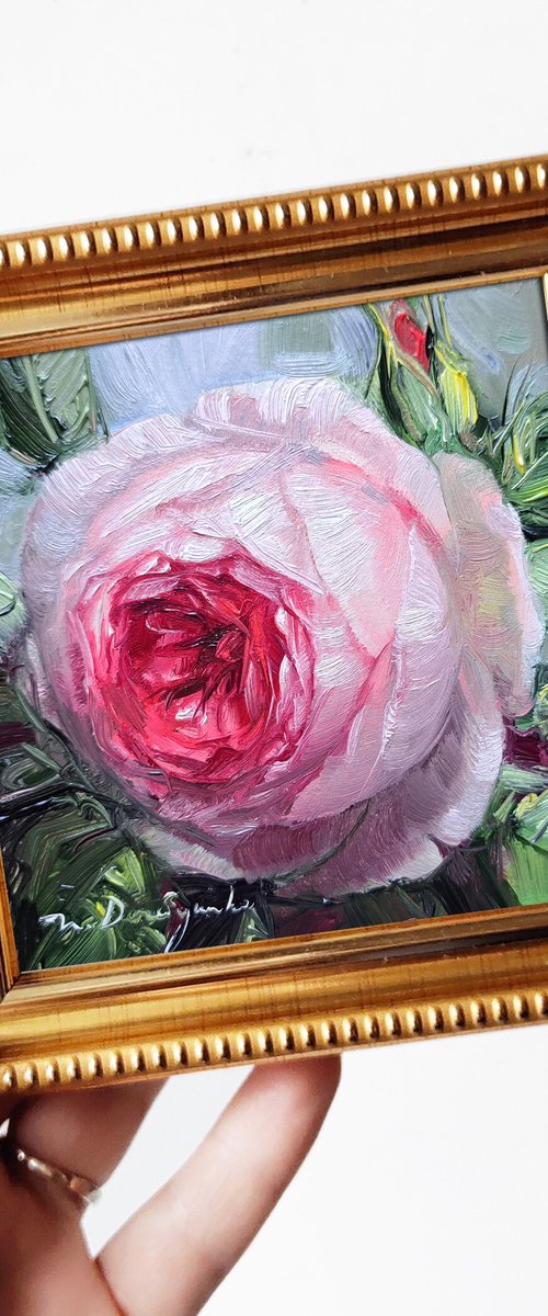 Pink rose by Nataly Derevyanko