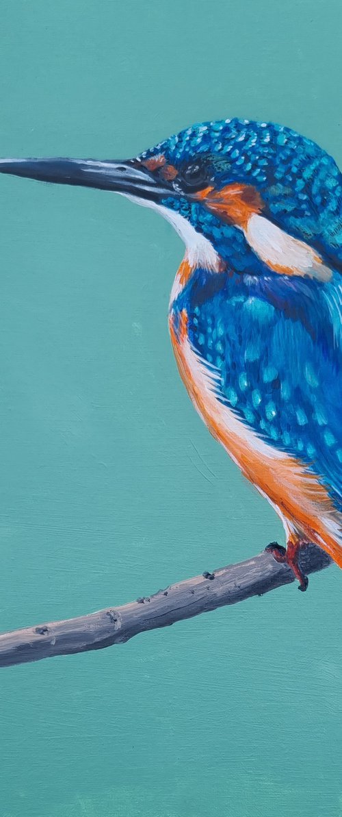 Kingfisher in Spring by Sally Burrow