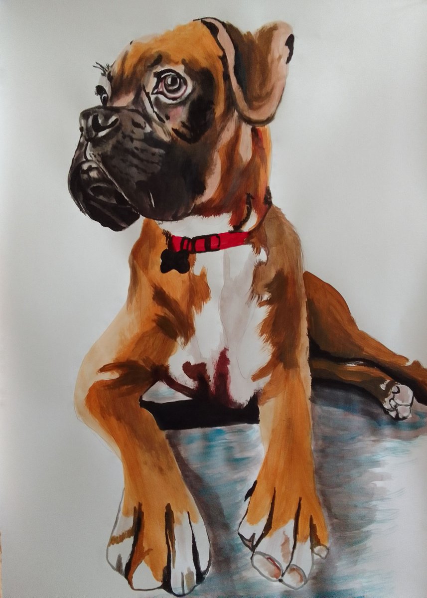 Photorealistic Animal Acrylic Painting By Soso Kumsiashvili, 24 X 33", Boxer Dog, Original Artwork