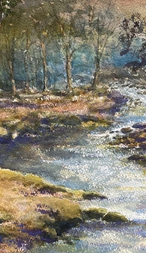 Meavy river Dartmoor by David Mather