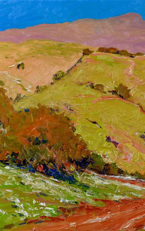 Rolling Green HIlls. California by Suren Nersisyan