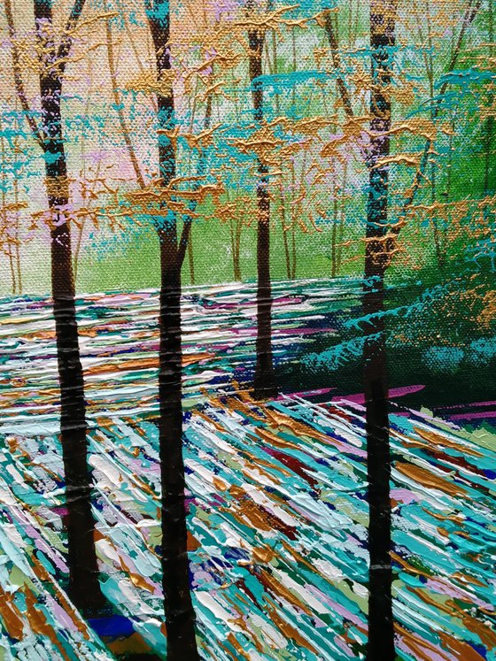 Secret Forest Shadow and Light