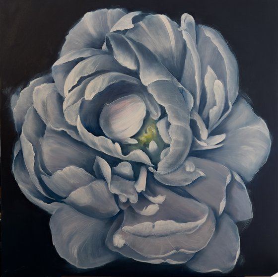 Blue Peony