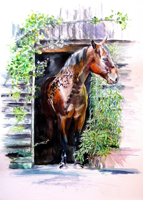Horse in the yard by Kovács Anna Brigitta