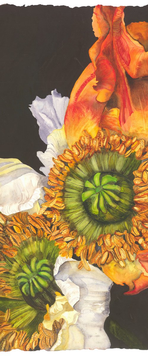 Crowned Titans by Mary Lyn Gough