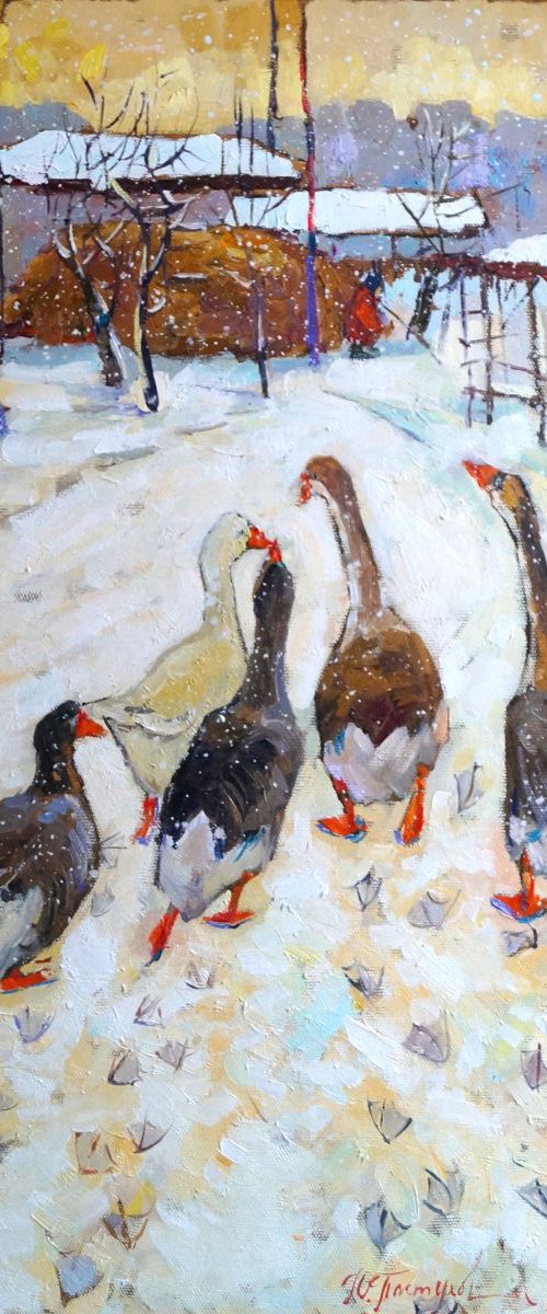 Geese by Yuliia Pastukhova