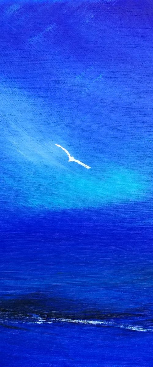 Soul Birds 2, cornwall, seascape, birds, gorgeous by Mel Graham