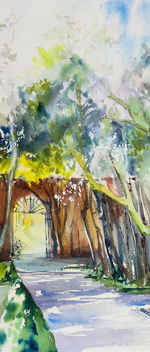 Secret garden in Salamanca by Sasha Romm