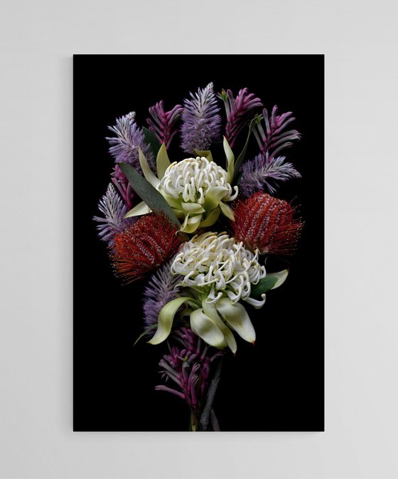 Waratah, Banksia, Mulla Mulla, Kangaroo Paw