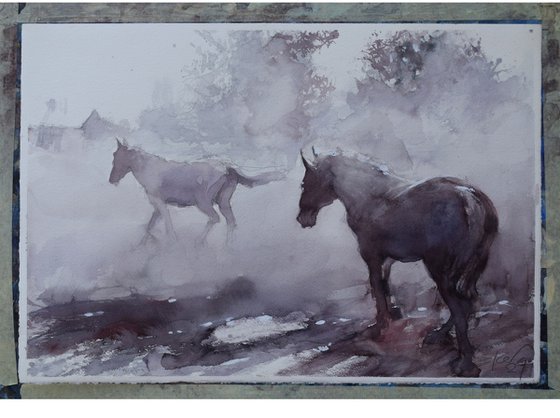 Horses in the mist