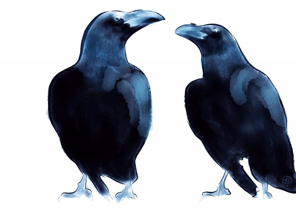 Impressionistic Animal Giclee Print By Shabs Beigh, 33 X 23", Raven Giclee, Original Artwork