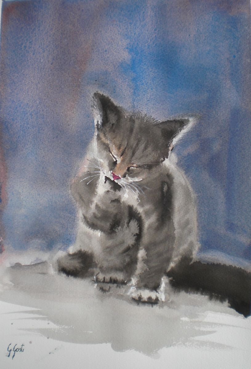 Expressive Animal Watercolour By Giorgio Gosti, 11 X 17, Kitten 3, Original Artwork