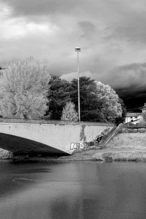#73 Florence Nature - bridge by Mattia Paoli
