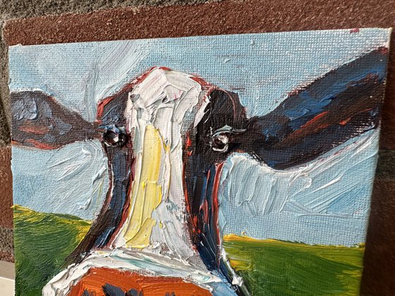 Funny cow portrait