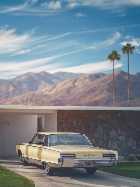 Desert Suburbia