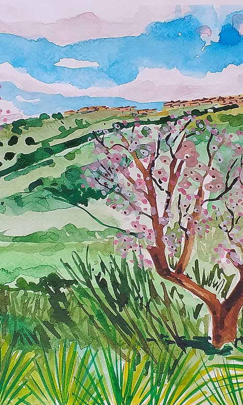 Almond blossom in Andalucia by Kirsty Wain