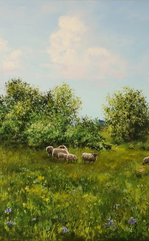 Sheep Meadow, Sunny Countryside Farm Field by Natalia Shaykina