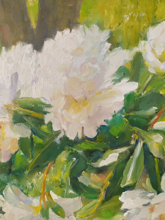 Peonies on the bench