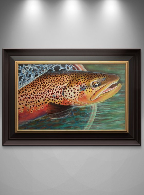 Trout - the gold of the rivers