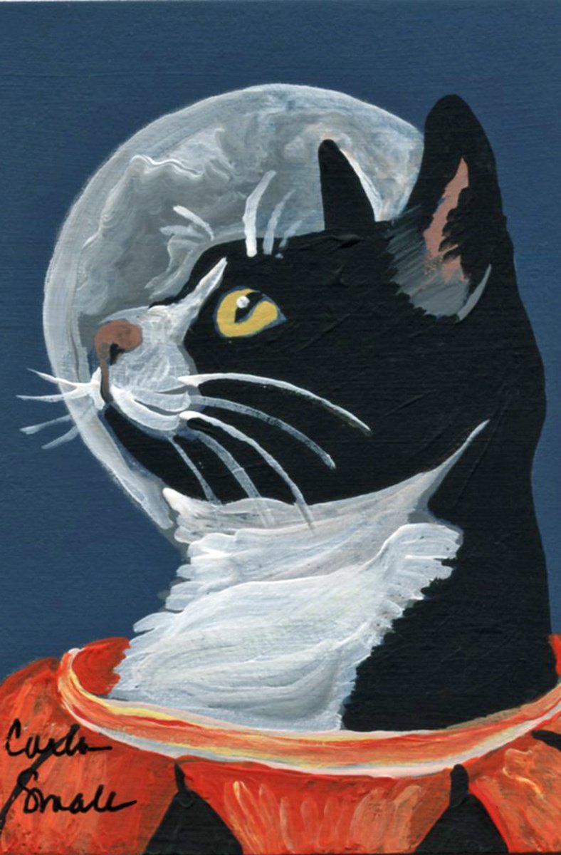 Halloween Cat by Carla Smale