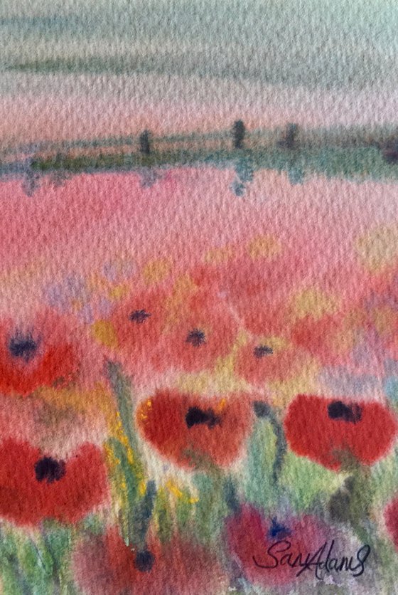 Poppy landscape