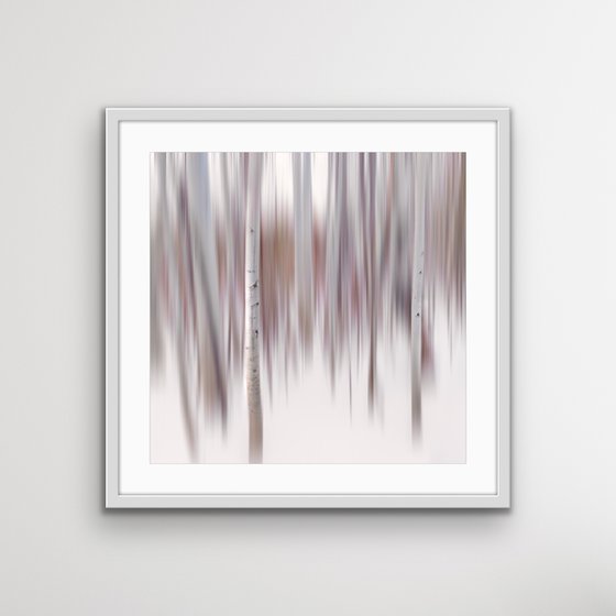 Aspen Impressions #1, California - FRAMED - Limited Edition