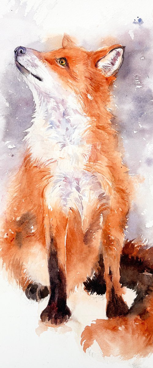Red Fox _Winter's Watch by Arti Chauhan