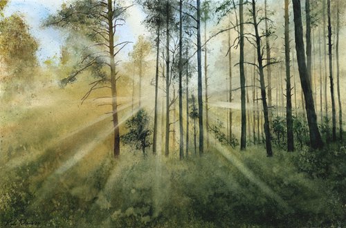 Sunlight in the forest, 57x38 by Tetiana Koda