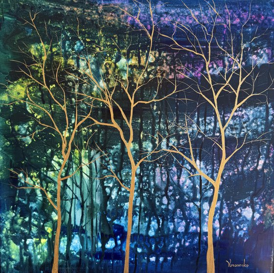 Twilight in a Rainy forest