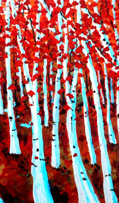 Red Woods by Paul J Best