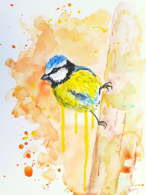 "Blue tit"