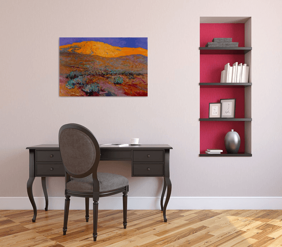 Sunset in the Desert. Arizona