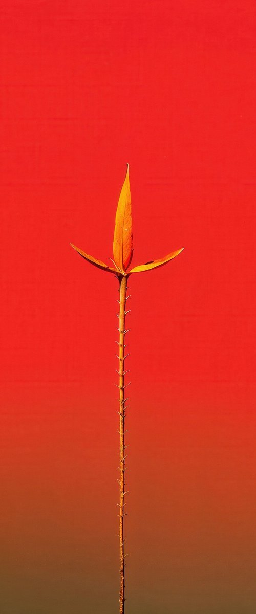 Floral Expressionism X by Richard Gibson