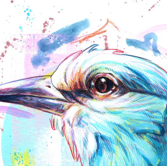 European roller