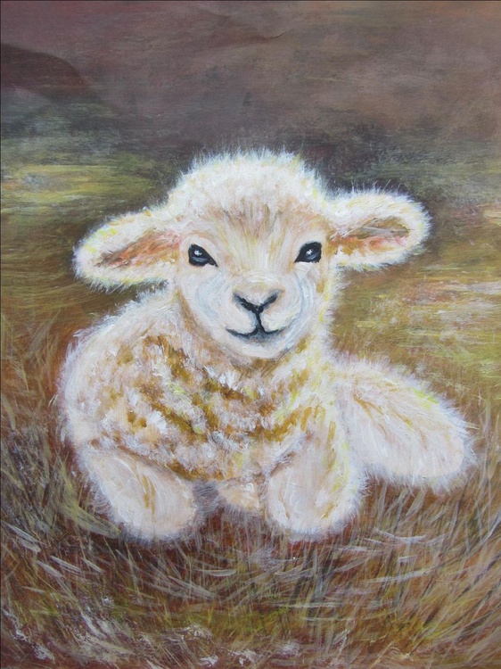 Small Lamb Acrylic Painting By Angela Titirig Artfinder