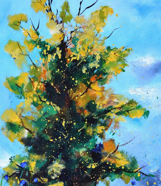 Oak in summer in Foy