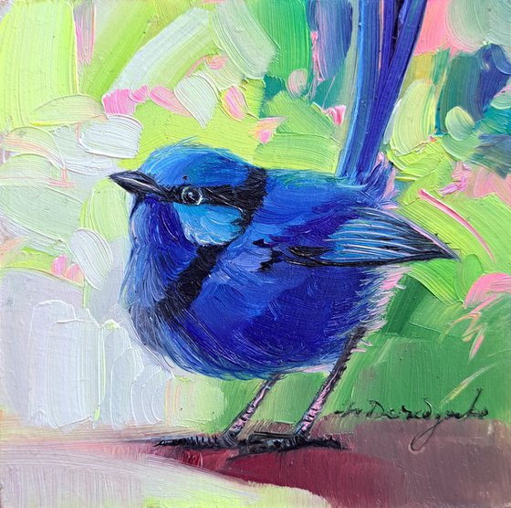 Fairywren bird painting