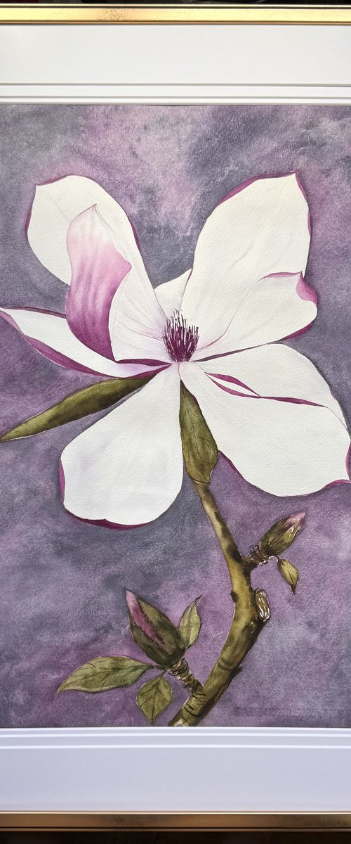 Wild Pink magnolia by Yuliia Sharapova
