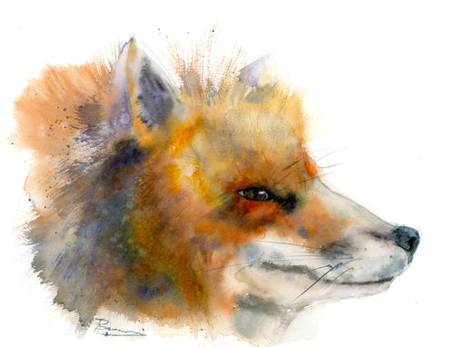 Fox by Olga Shefranov (Tchefranov)