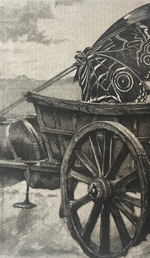 Butterfly Cart by Tudor Evans