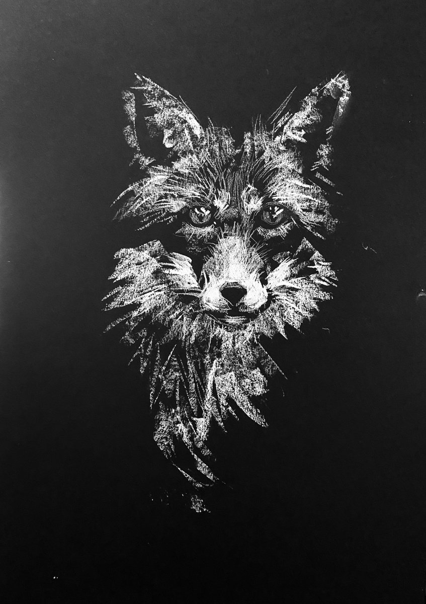 Fox by Olga Bolgar