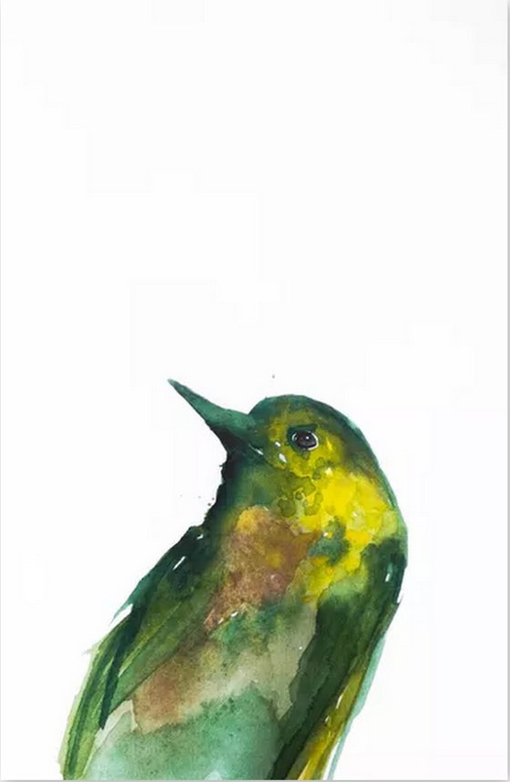 Birds, Set of 6