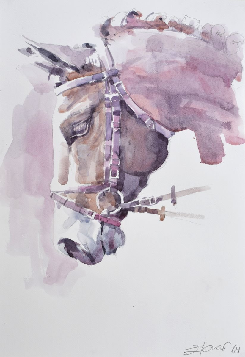 Horse head II by Goran igoli? Watercolors