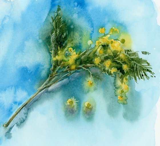 A sprig of mimosa. Still life. Spring.