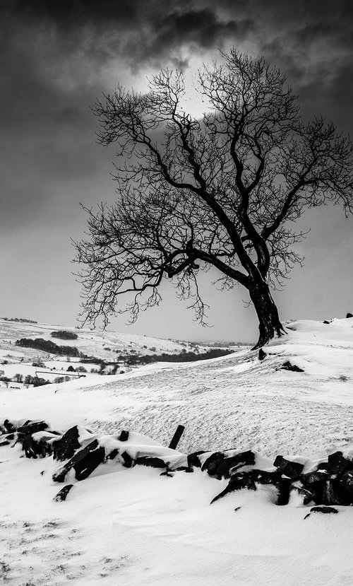 Reaching to the Heavens  Upper Hulme - Peak District National Park by Stephen Hodgetts Photography