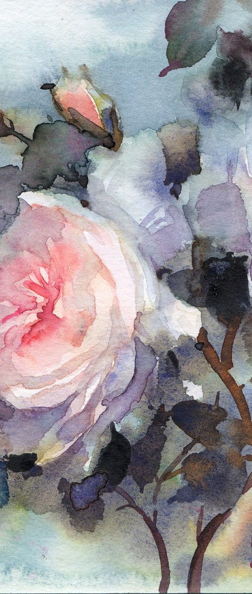 Summer garden beauty / Roses in watercolor by Yulia Evsyukova