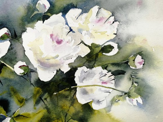 White peony flowers painting