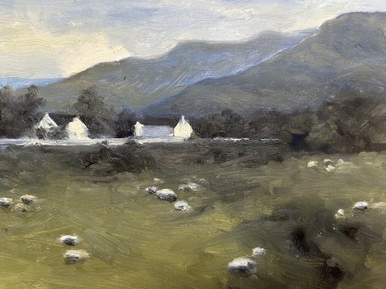The Distillery, Dalwhinney