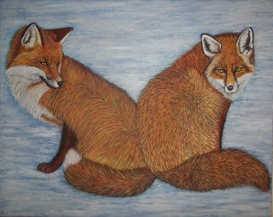 Couple of Foxes