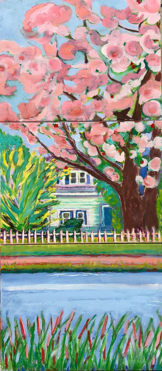 "Beautiful Home"